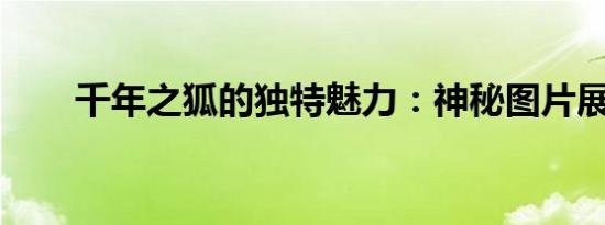 千年之狐的独特魅力：神秘图片展现
