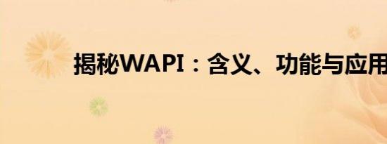揭秘WAPI：含义、功能与应用