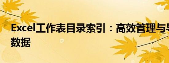 Excel工作表目录索引：高效管理与导航您的数据