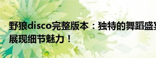 野狼disco完整版本：独特的舞蹈盛宴，完全展现细节魅力！