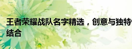 王者荣耀战队名字精选，创意与独特性的完美结合