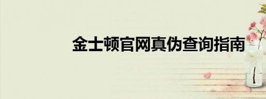 金士顿官网真伪查询指南