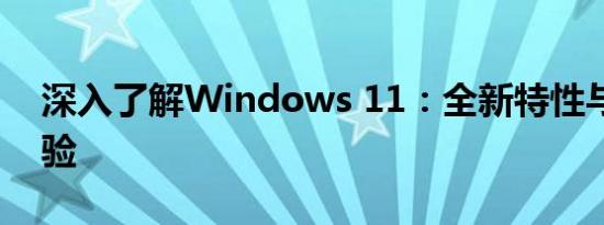 深入了解Windows 11：全新特性与用户体验