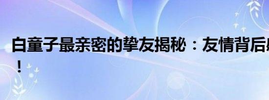 白童子最亲密的挚友揭秘：友情背后感人故事！