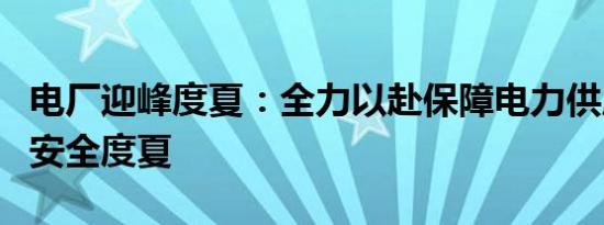 电厂迎峰度夏：全力以赴保障电力供应，助力安全度夏