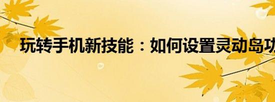 玩转手机新技能：如何设置灵动岛功能？