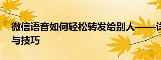 微信语音如何轻松转发给别人——详细步骤与技巧