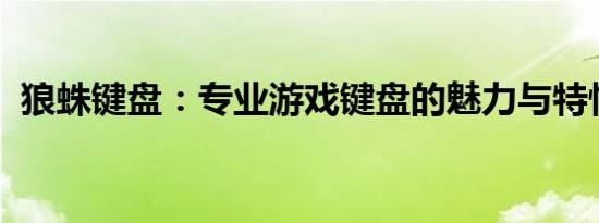 狼蛛键盘：专业游戏键盘的魅力与特性解析