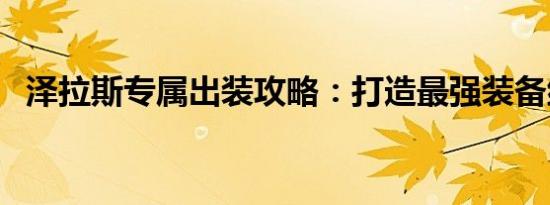 泽拉斯专属出装攻略：打造最强装备组合！