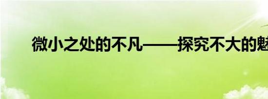 微小之处的不凡——探究不大的魅力