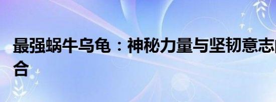 最强蜗牛乌龟：神秘力量与坚韧意志的完美结合