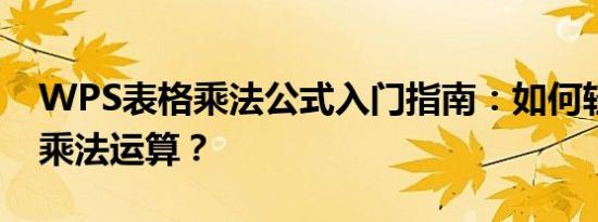 WPS表格乘法公式入门指南：如何轻松输入乘法运算？
