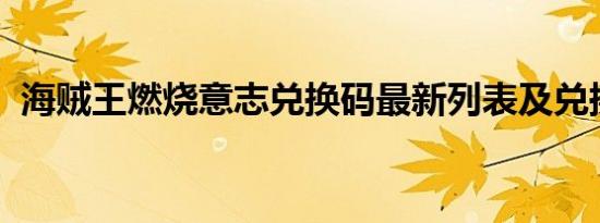 海贼王燃烧意志兑换码最新列表及兑换攻略