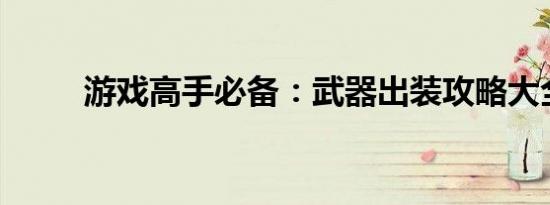 游戏高手必备：武器出装攻略大全
