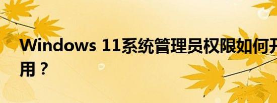 Windows 11系统管理员权限如何开启和使用？