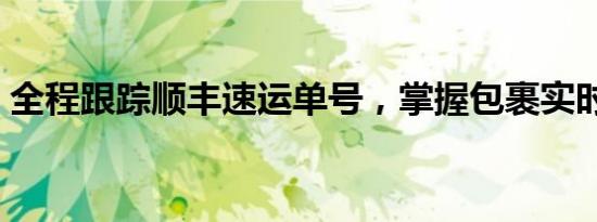 全程跟踪顺丰速运单号，掌握包裹实时动态！