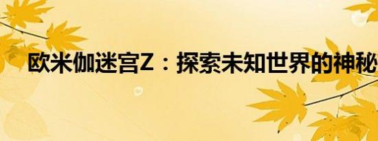 欧米伽迷宫Z：探索未知世界的神秘之旅