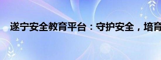 遂宁安全教育平台：守护安全，培育未来