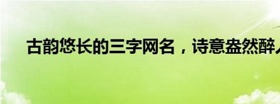古韵悠长的三字网名，诗意盎然醉人心