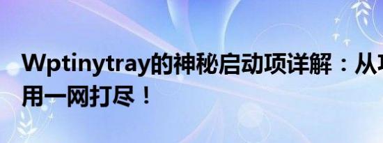 Wptinytray的神秘启动项详解：从功能到使用一网打尽！