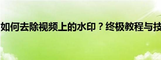 如何去除视频上的水印？终极教程与技巧解析