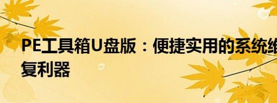 PE工具箱U盘版：便捷实用的系统维护与修复利器