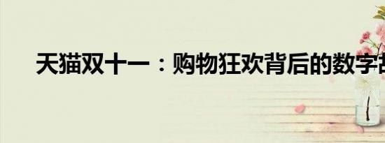 天猫双十一：购物狂欢背后的数字故事