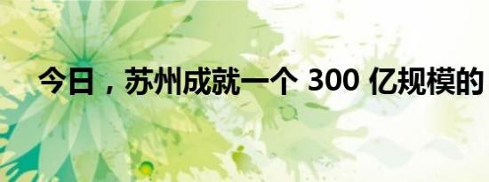 今日，苏州成就一个 300 亿规模的 IPO