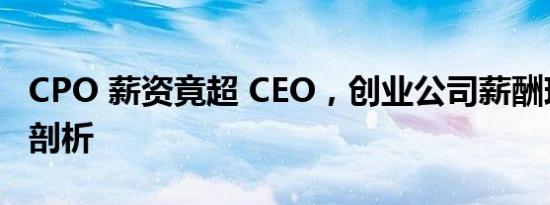 CPO 薪资竟超 CEO，创业公司薪酬现状深度剖析