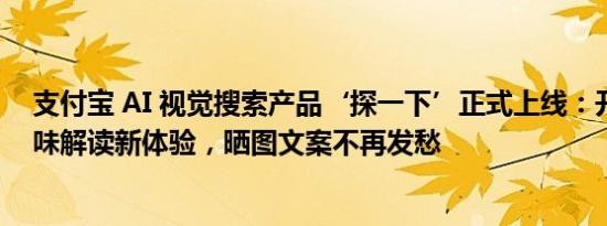 支付宝 AI 视觉搜索产品‘探一下’正式上线：开启万物趣味解读新体验，晒图文案不再发愁