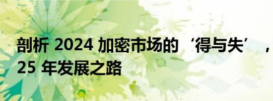 剖析 2024 加密市场的‘得与失’，展望 2025 年发展之路