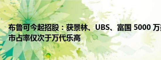 布鲁可今起招股：获景林、UBS、富国 5000 万美元认购，市占率仅次于万代乐高