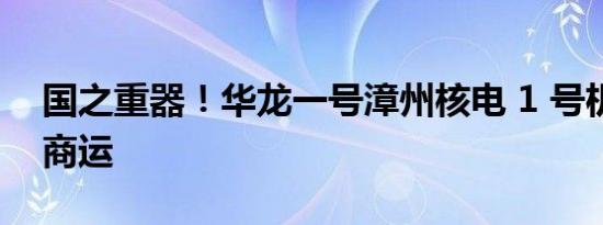 国之重器！华龙一号漳州核电 1 号机组投入商运