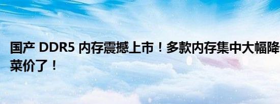 国产 DDR5 内存震撼上市！多款内存集中大幅降价，真成白菜价了！
