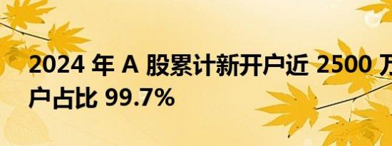 2024 年 A 股累计新开户近 2500 万户：散户占比 99.7%