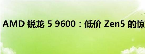 AMD 锐龙 5 9600：低价 Zen5 的惊喜登场