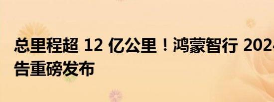 总里程超 12 亿公里！鸿蒙智行 2024 智驾报告重磅发布