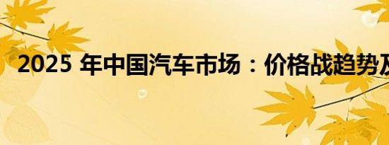 2025 年中国汽车市场：价格战趋势及现状