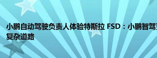 小鹏自动驾驶负责人体验特斯拉 FSD：小鹏智驾更适配中国复杂道路