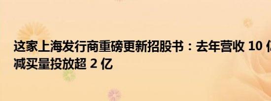 这家上海发行商重磅更新招股书：去年营收 10 亿，大幅缩减买量投放超 2 亿
