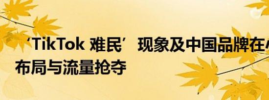 ‘TikTok 难民’现象及中国品牌在小红书的布局与流量抢夺