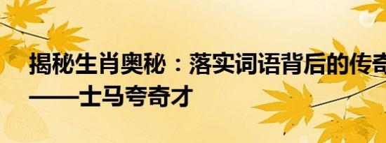 揭秘生肖奥秘：落实词语背后的传奇与才华——士马夸奇才