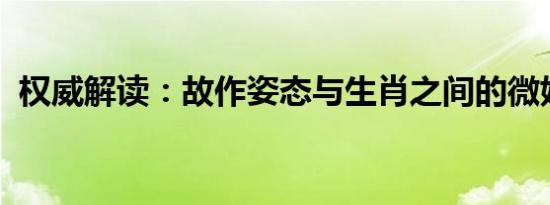 权威解读：故作姿态与生肖之间的微妙关联