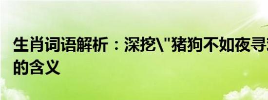 生肖词语解析：深挖