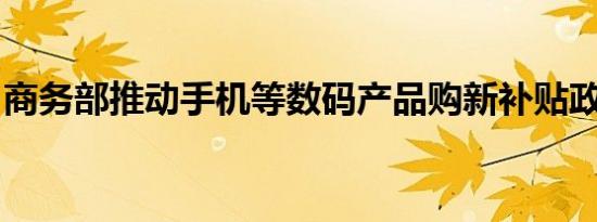 商务部推动手机等数码产品购新补贴政策落地