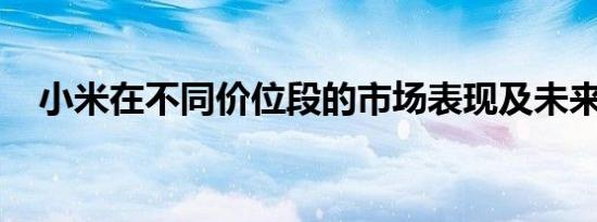 小米在不同价位段的市场表现及未来展望