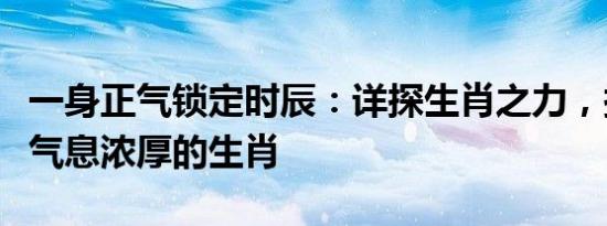 一身正气锁定时辰：详探生肖之力，探寻正义气息浓厚的生肖