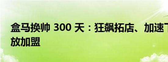 盒马换帅 300 天：狂飙拓店、加速下沉、开放加盟