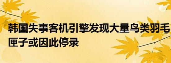 韩国失事客机引擎发现大量鸟类羽毛，两个黑匣子或因此停录