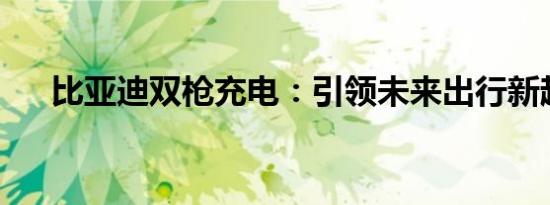 比亚迪双枪充电：引领未来出行新趋势
